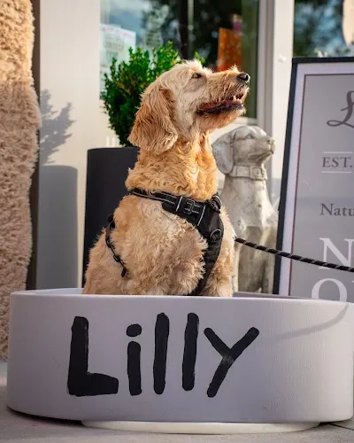 Pet shop photography example