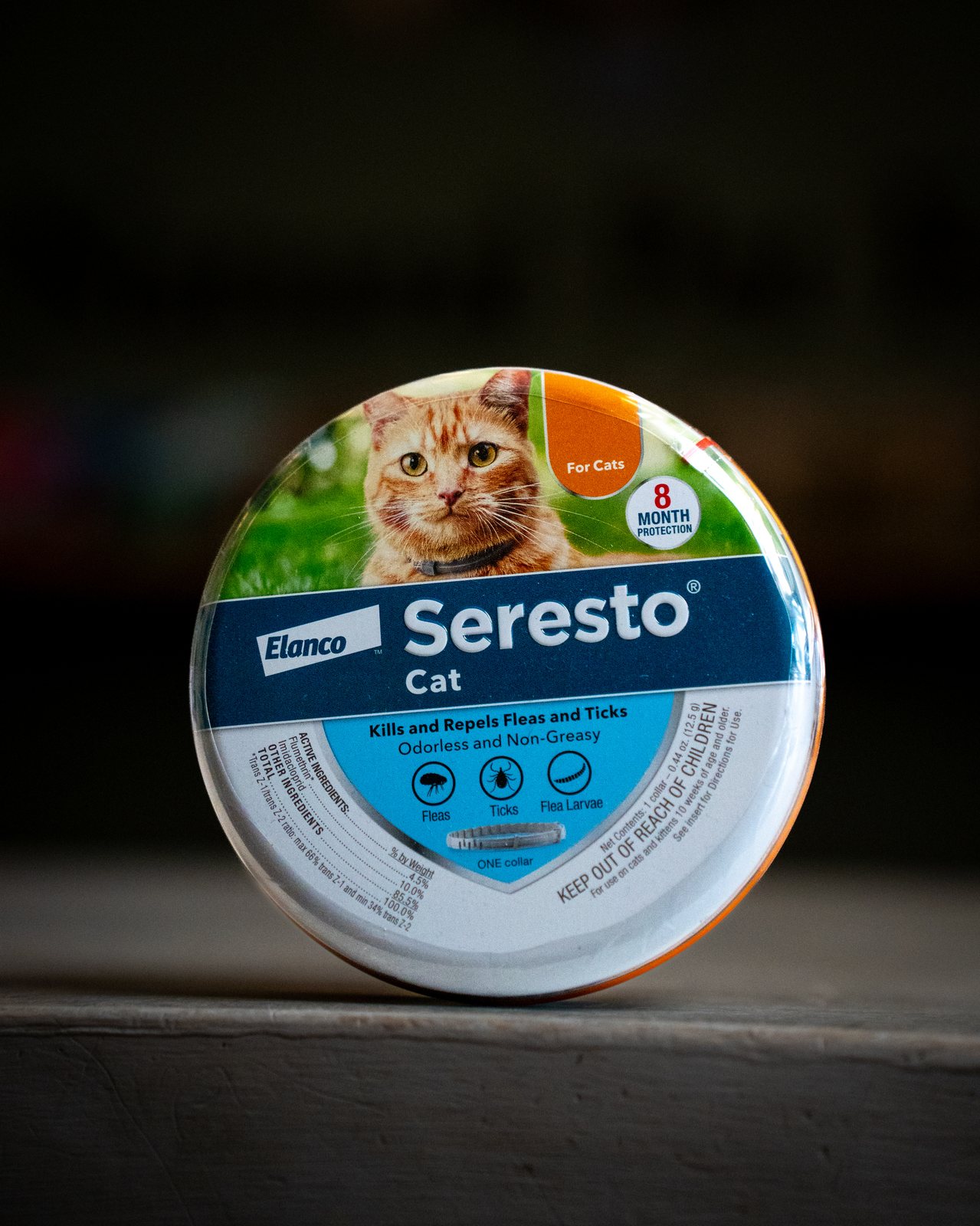Pet product photography with dramatic lighting — retail product shoot Hudson Valley